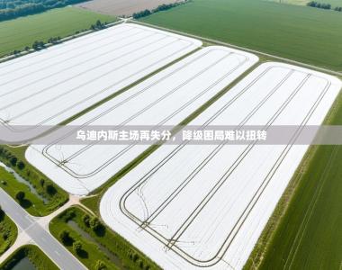 乌迪内斯主场再失分，降级困局难以扭转