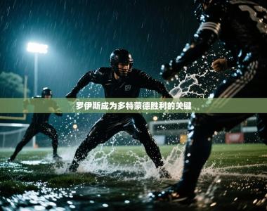 罗伊斯成为多特蒙德胜利的关键