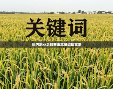 国内职业足球赛事再掀燃情高潮