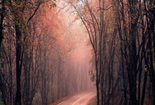 独行侠惊险逆转，唐西奇贡献全场最高