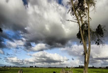 利物浦球员身体不适身体状况成疑问