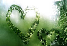 独行侠惊险逆转，唐西奇贡献全场最高