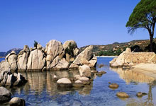 独行侠惊险逆转，唐西奇贡献全场最高