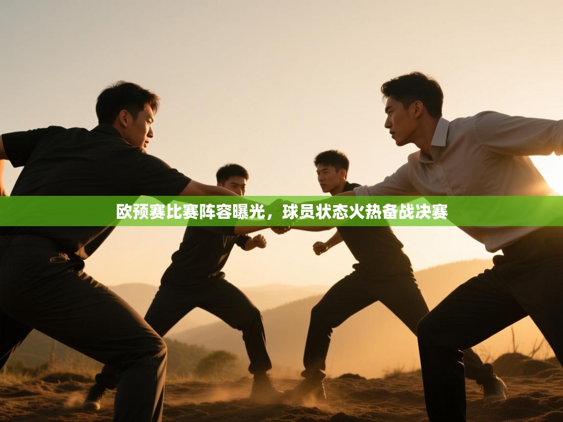 欧预赛比赛阵容曝光，球员状态火热备战决赛  第2张