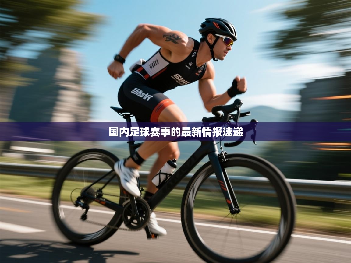 国内足球赛事的最新情报速递  第1张
