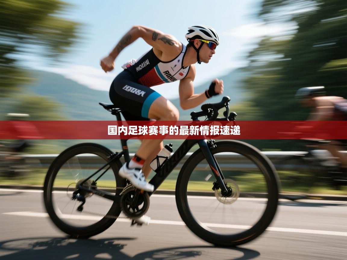 国内足球赛事的最新情报速递  第2张