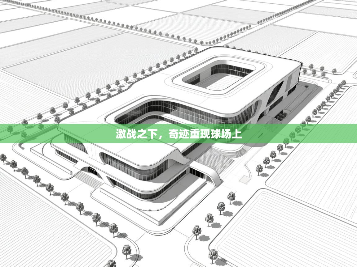 激战之下，奇迹重现球场上  第2张