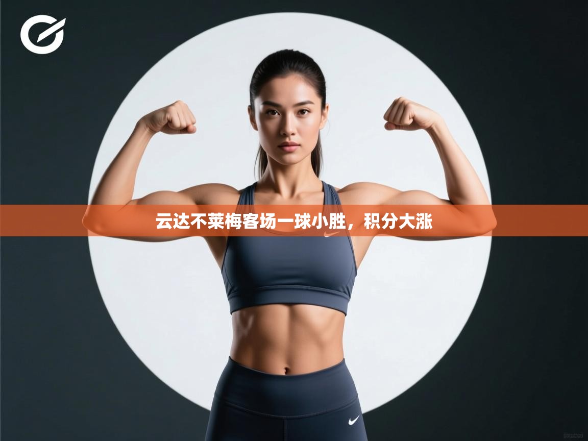 云达不莱梅客场一球小胜,积分大涨 第1张