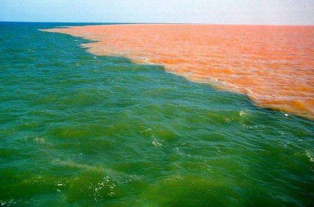 半岛体育app下载-青海黄海主场告捷，一举挺进前十